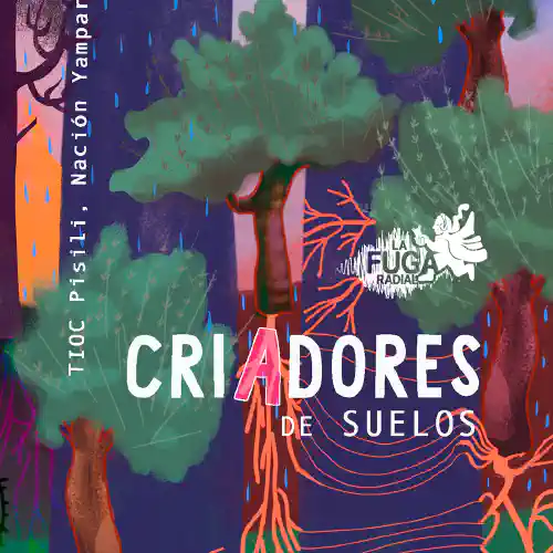 CRIADORES DE SUELOS  TIOC Pisili, Nación Yampara